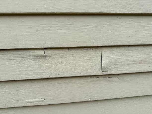 Best Aluminum Siding Installation  in Belleview, FL